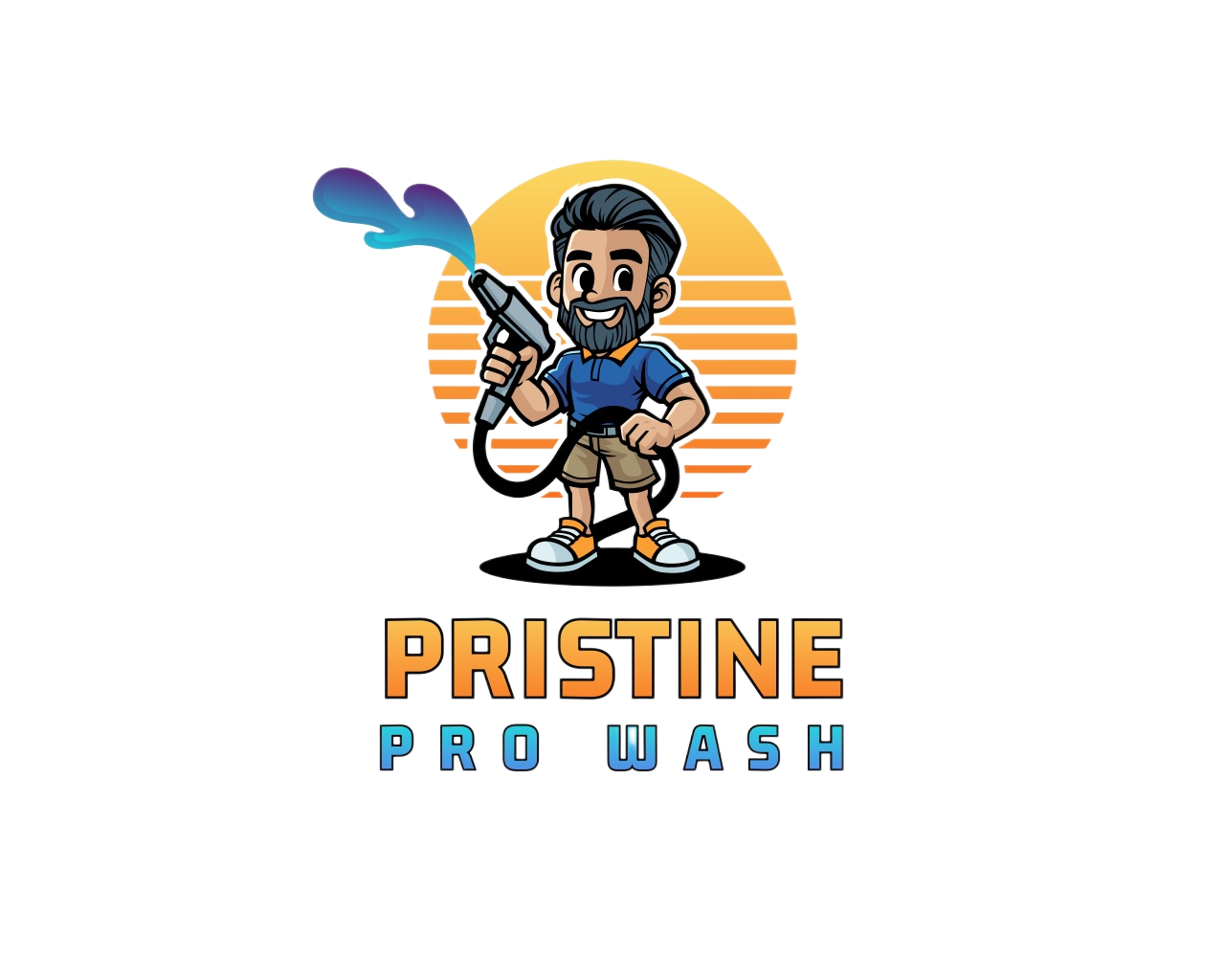 Pristine Pro Wash logo